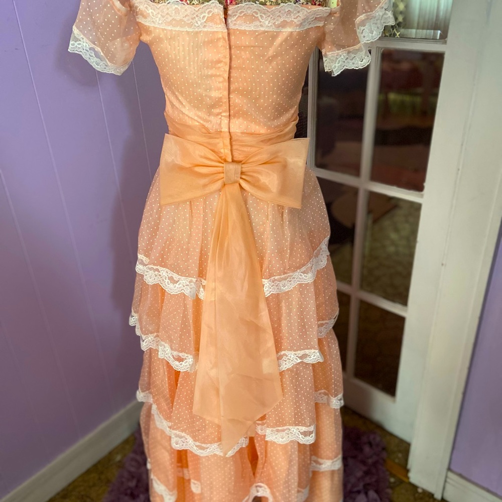 Gorgeous Vintage Peach Southern Belle Dress
